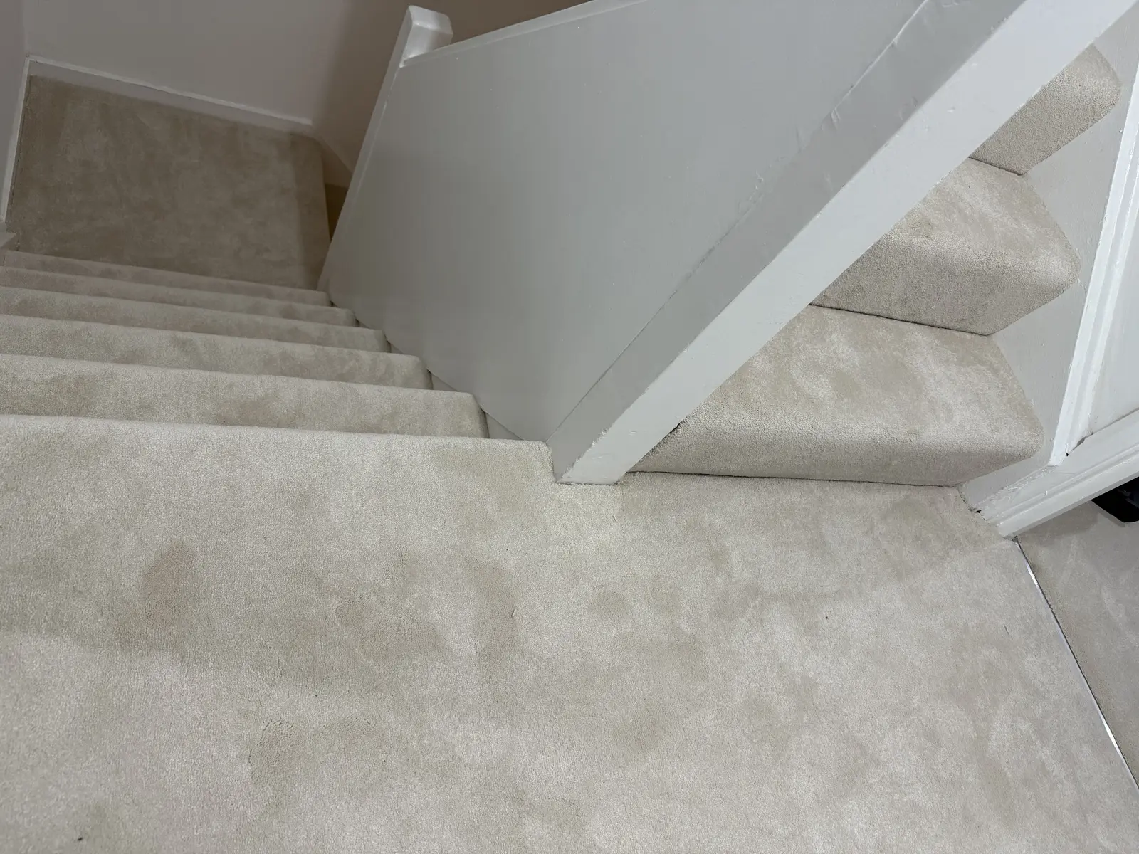 Professional carpet installation 7
