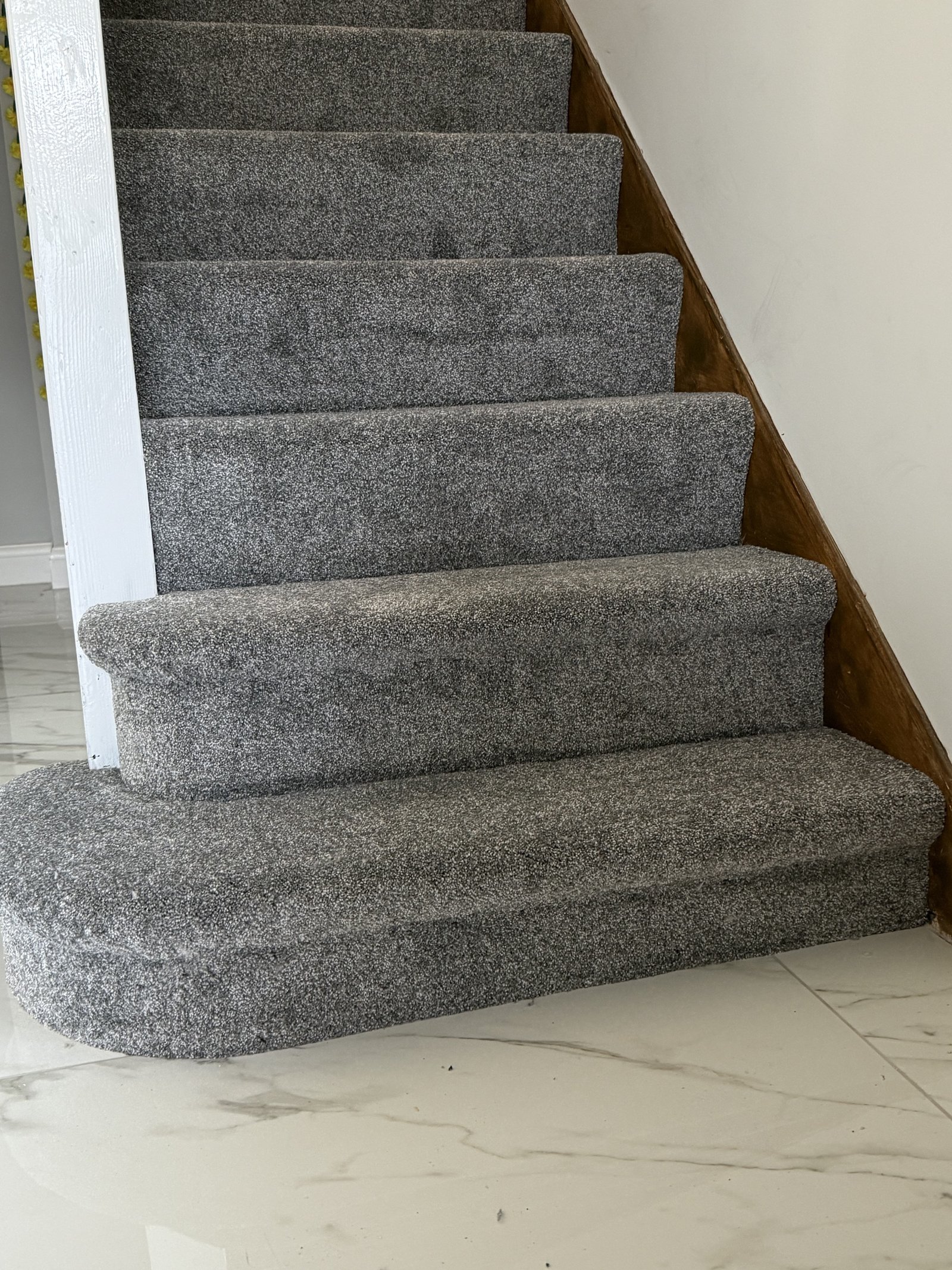 Expert Carpet Installation