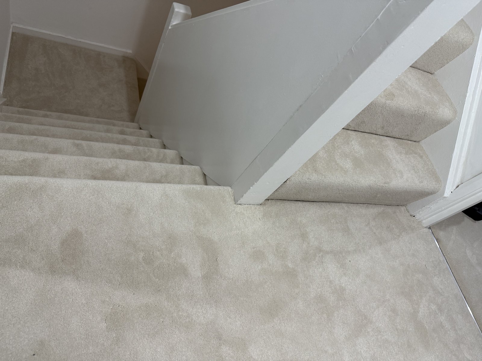 Premium Carpet Installation